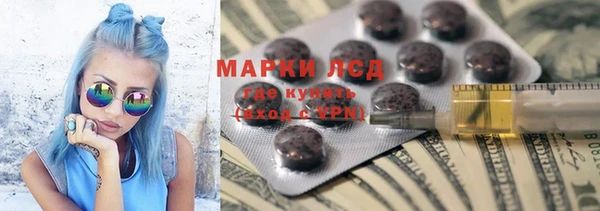 ECSTASY Новозыбков