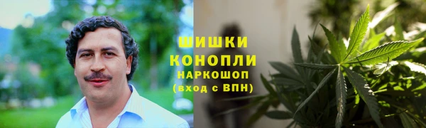 индика Богородицк