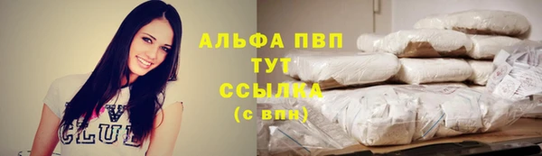 Альфа ПВП Няндома